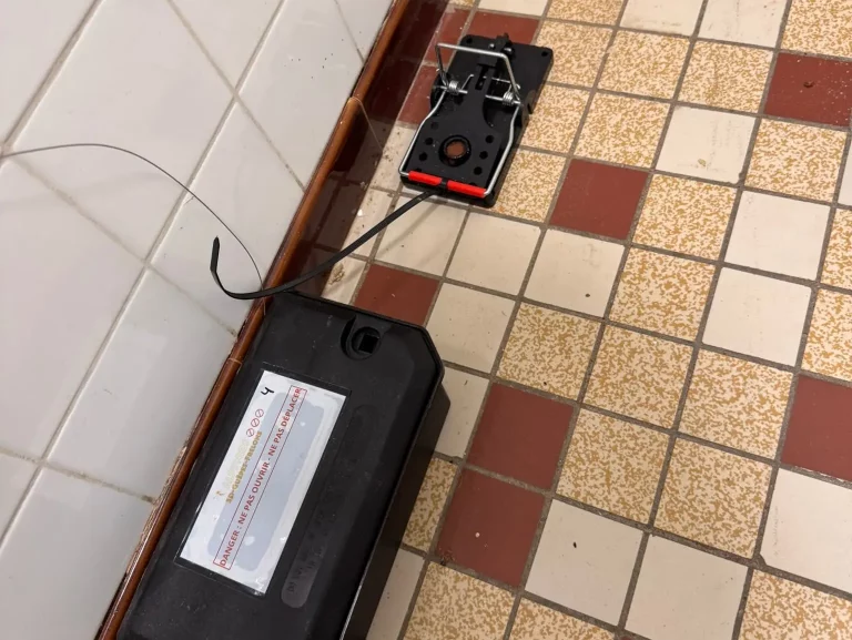 traitement anti rongeur établissement metier de bouche